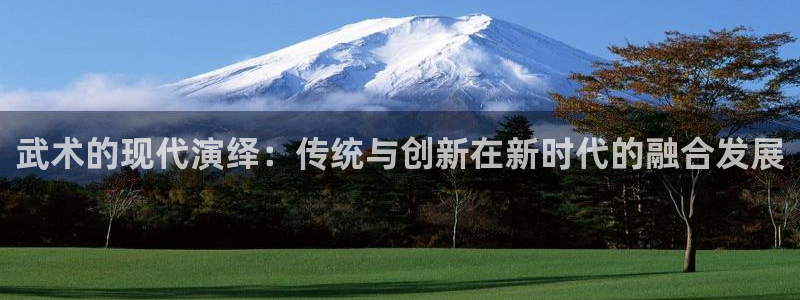 李兵五星體育：武術的現代演繹：傳統與創新在新時代的融合發展