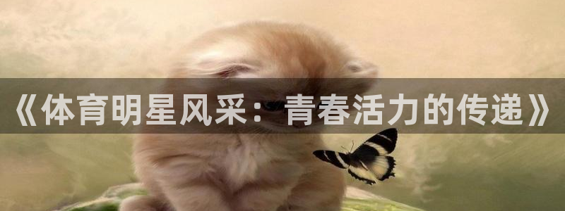 五星體育nba直播：《體育明星風采：青春活力的傳遞》