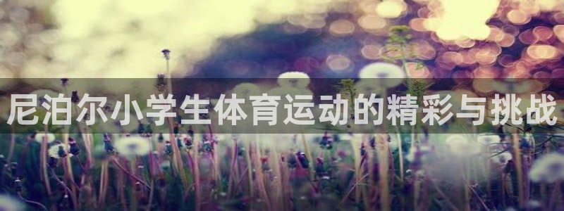 五星體育棋牌類節(jié)目：尼泊爾小學(xué)生體育運(yùn)動(dòng)的精彩與挑戰(zhàn)