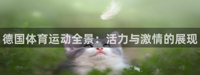 五星體育手機版下載：德國體育運動全景：活力與激情的展現