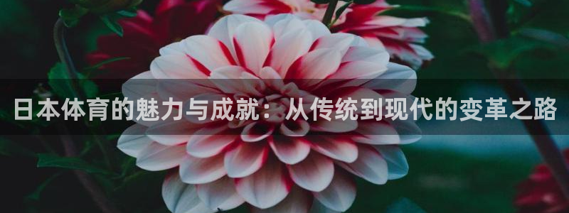 五星體育體育新聞：日本體育的魅力與成就：從傳統到現代的變革之路